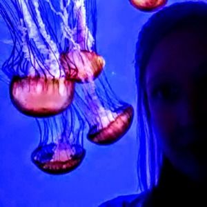 Meet your Posher, Amamarie